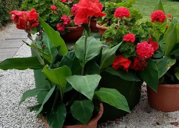 Am By Interhome בית נופש